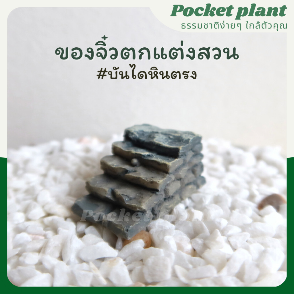 มุมมอง 2