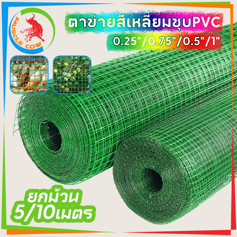 MUSCLE COW ลวดตาข่ายเหล็กสี่เหลี่ยม ชุบ PVC ขนาด 1/2 นิ้ว ไม่ขึ้นสนิม กรงนก กรงไก่ ทำสวน ปลูกดอกไม้ ชุปพีวีซี