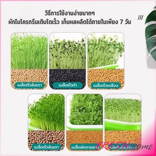 Fresh กล่องเพาะถั่วงอก ถาดเพาะต้นอ่อน ไม่ต้องใช้ดิน นำกลับมาใช้ใหม่ได้ สำหรับมือใหม่ 1ชุด bean sprouts tray