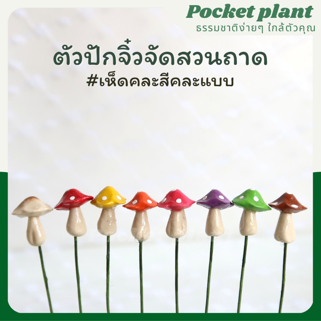 มุมมอง 5