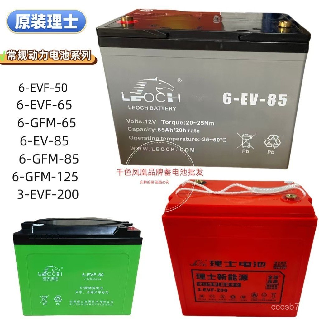 Rich EV แบตเตอรี่คอลลอยด์แบตเตอรี่รถยก 6-EVF-65 6-EV-85 6-GFM-85 3-EVF-200