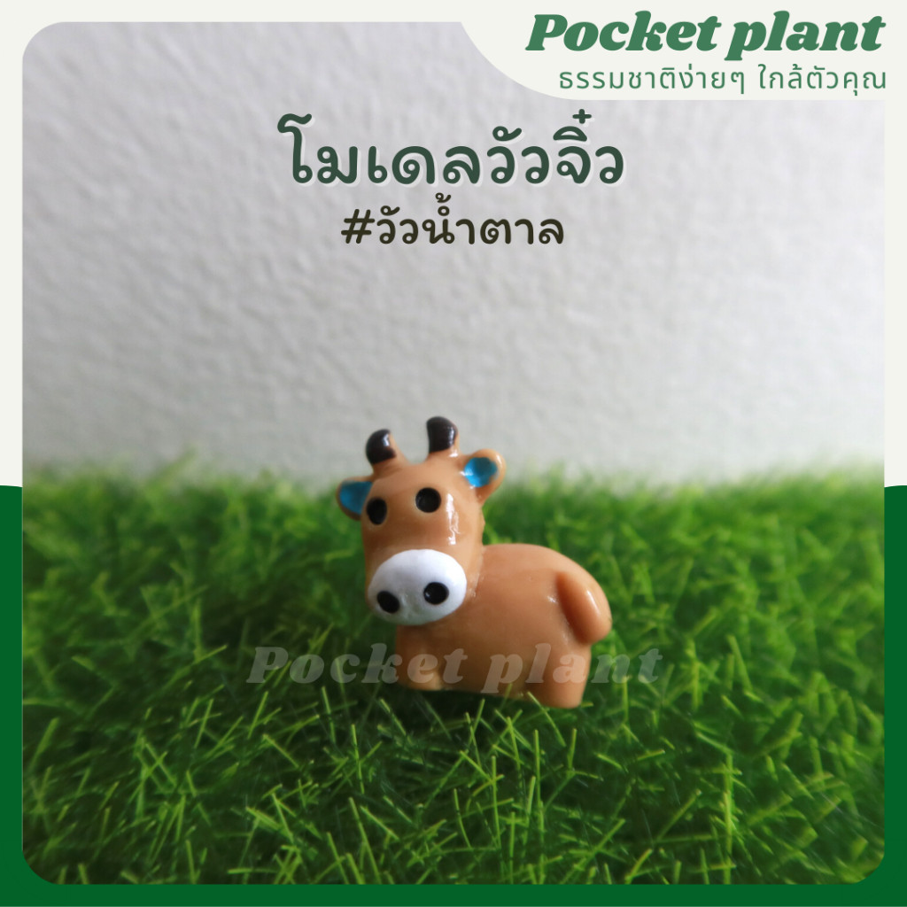 มุมมอง 2