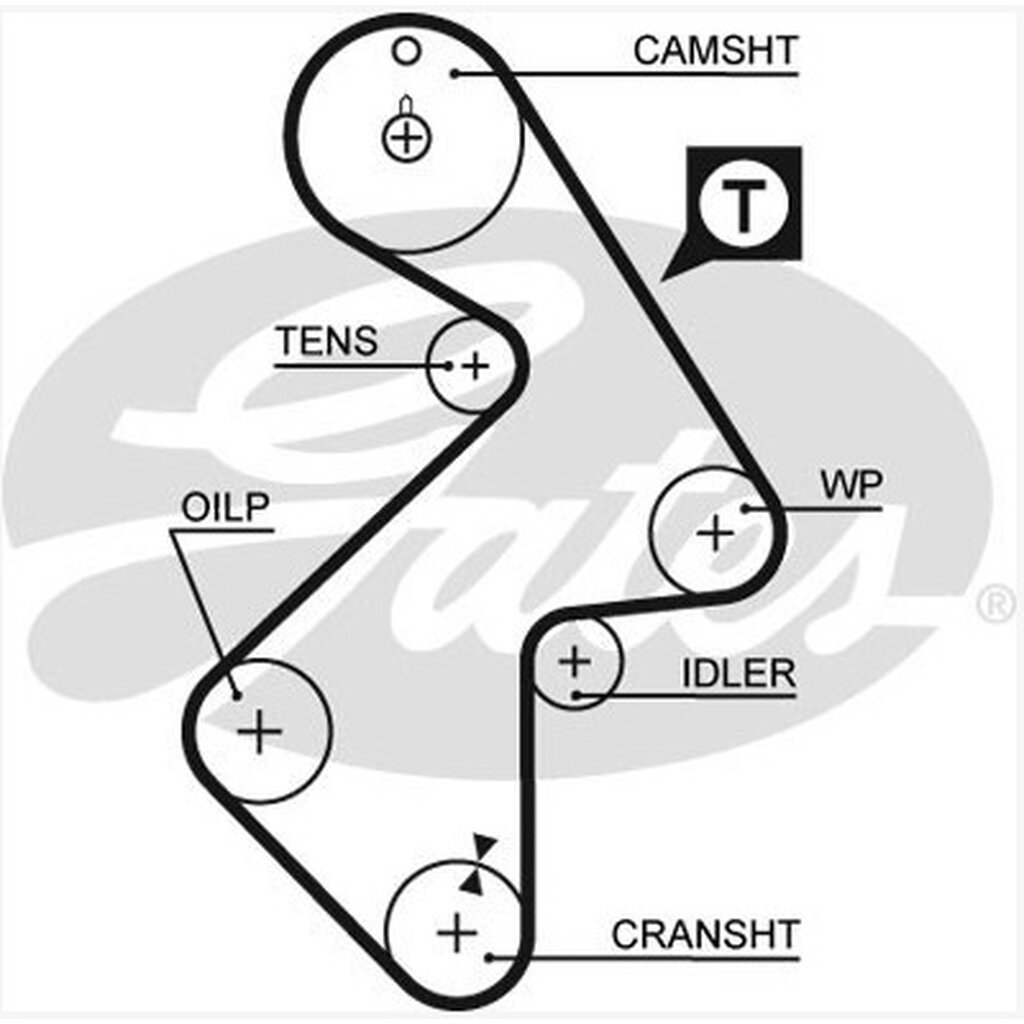 สายพานไทม์มิ่ง CAMRY SXV10 SXV20 CORONA ST171 ST191 CELICA HARRIER RAV4 MR2 3SFE 2.0 5SFE 2.2 163ฟัน