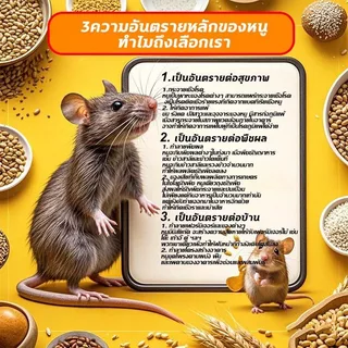 หนู นก ไก่กินแล้วตาย 500g ยาฆ่าหนู กําจัดหนู ยาเบื่อ หนู เหยื่อกำจัดนก ยาเบือหนู เหยื่อ ยากําจัดหนู ยาเบื่อนก ยาฆ่านก