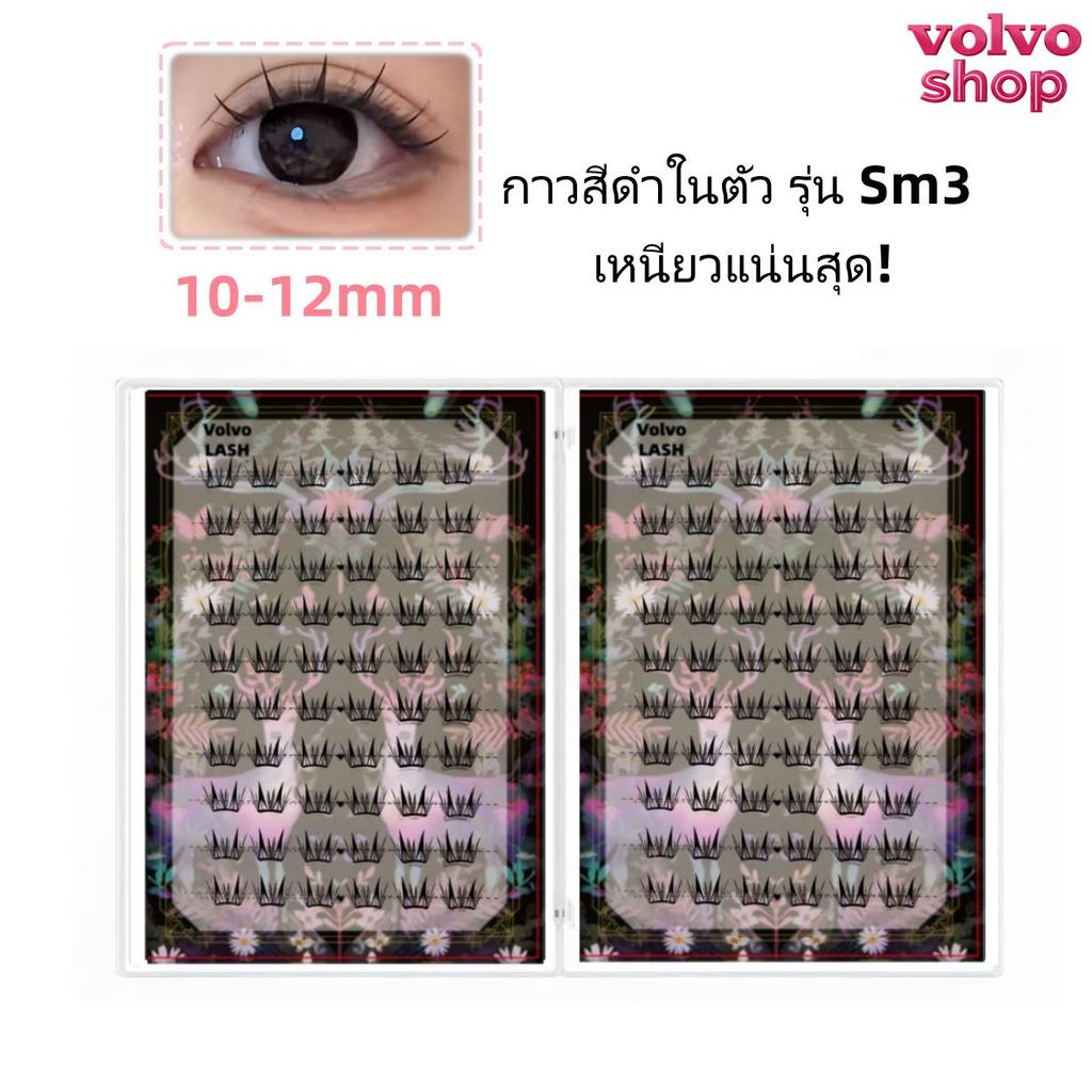 รูปภาพ 5