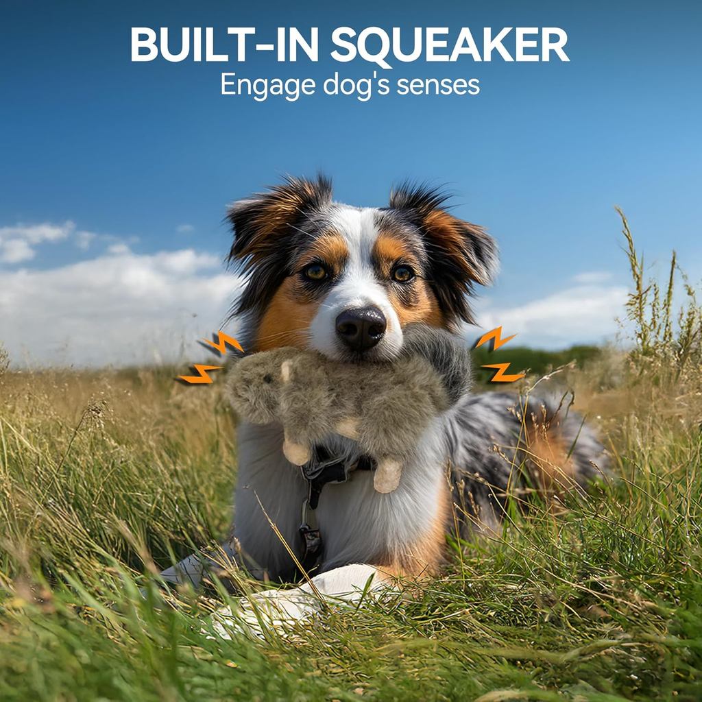 ALL FOR PAWS Interactive Dog Squirrel Plush Squeaky Toy - Perfect Puppy Enrichment Toy, Large