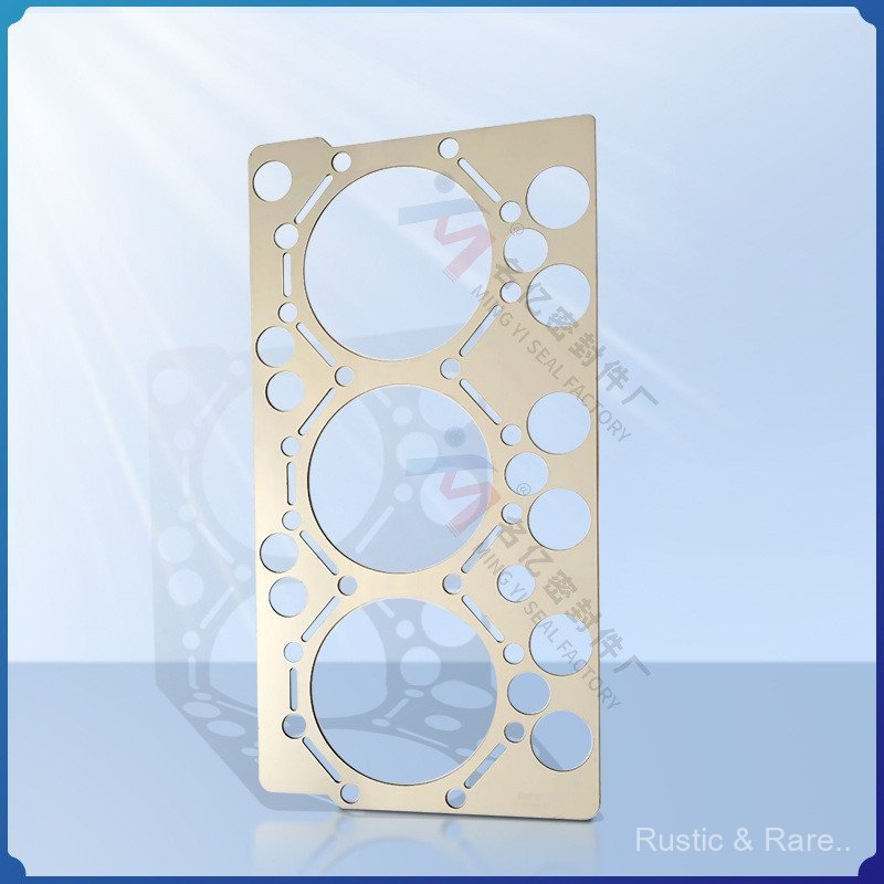 เหมาะสําหรับ VOO发 动机 แผ่นปั๊มไฟฟ้าสถิต276816 สกาเนีย 60.31095.10276816 50384