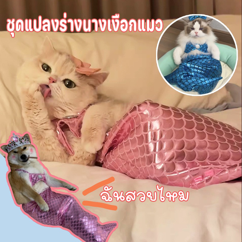 ชุดแปลงร่างนางเงือกแมว ชุดแมว เหมาะสำหรับ 2.5-6kg ชุดว่ายน้ําตลก เสื้อผ้าน่ารัก หางปลา ชุดสามชิ้น