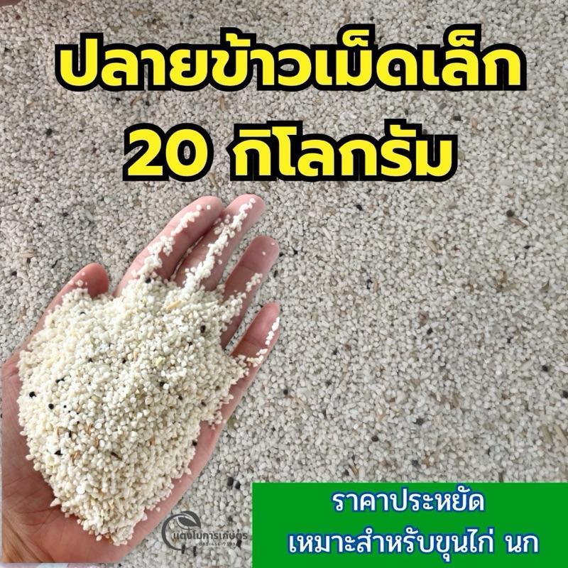 ปลายข้าวเม็ดเล็ก เหมาะสำหรับขุนไก่ นก สัตว์ปีก (มีเม็ดหญ้าปนเล็กน้อย) ราคาคุ้มมาก!