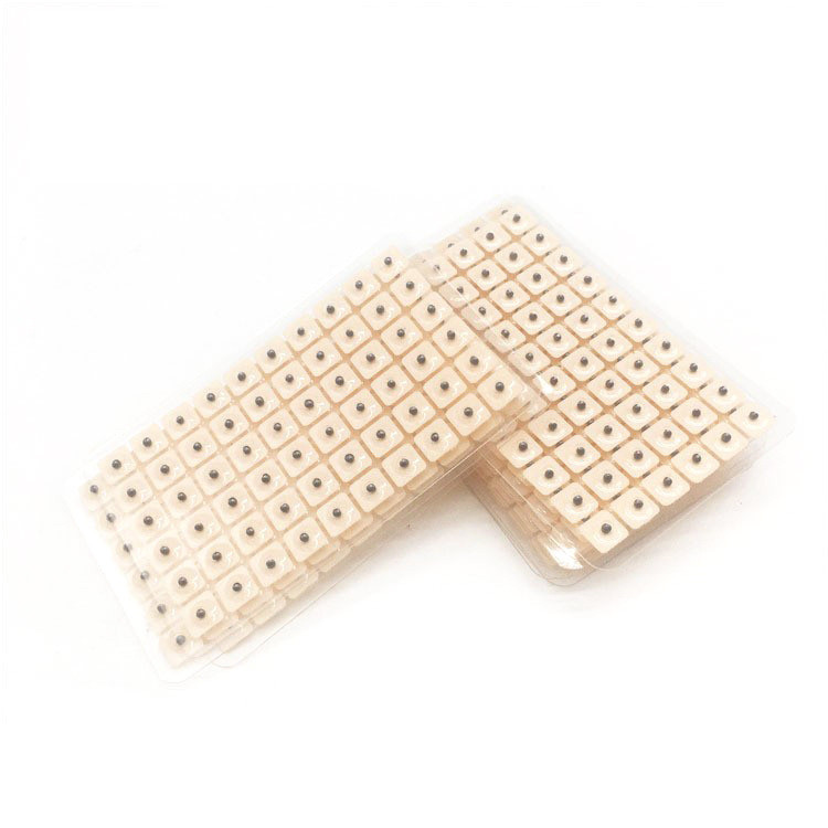 Hot Sale#New Date600Ear Acupoint Patch Acupoint Pressure Seed Patch Ear Patch Ear Bean Patch Massage