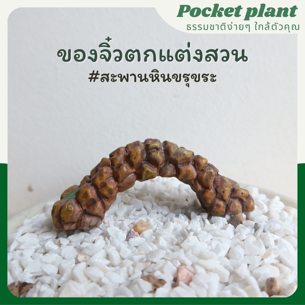 มุมมอง 5