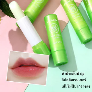 YTL ALOE VERA Lip Balm ลิปบาล์มว่านหางจะเข้ ช่วยปรับปรุงริมฝีปากแห้ง ให้ความชุ่มชื้น อ่อนโยน 3.5 g.