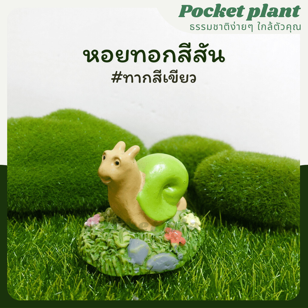 มุมมอง 6