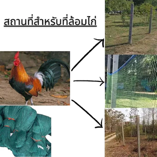 ตาข่ายล้อมไก่ ตาข่ายไนล่อน อวนล้อมไก่ ตะข่ายกันนก อายุการใช้งาน ทนนาน ตาข่าย3นิ้ว ตาข่ายอเนกประสงค์