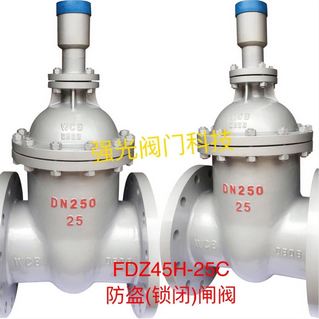 FDZ45H-10C, FDZ45H-16C, FDZ45H-25C, วาล์วล็อคป้องกันการโจรกรรมเหล็กหล่อ, พร้อมกุญแจ