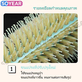หวีจัดแต่งทรงผมขนหมูป่า ด้ามจับไม้บีช ทนความร้อนสูง - สำหรับผมหยิก ผมตรง และผมฟู 3 ขนาด (S/M/L)