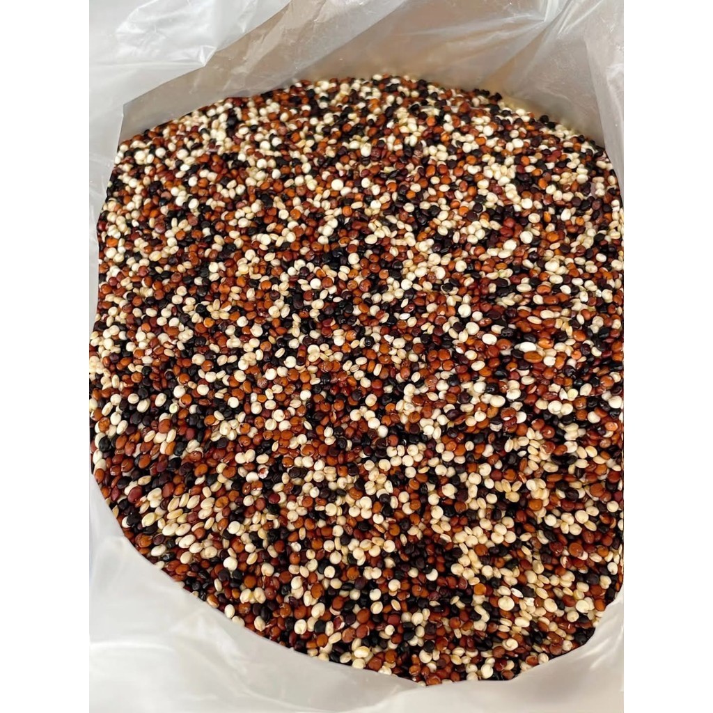 W จัดส่งฟรี ควินัว 3สี  ควินัว3สี เมล็ดควินัว ควินัว คีนัว เม็ดควินัว ควินัวดำ ควินัวเเดง เมล็ดควินัว 3 สี Quinoa - รูปที่ 2
