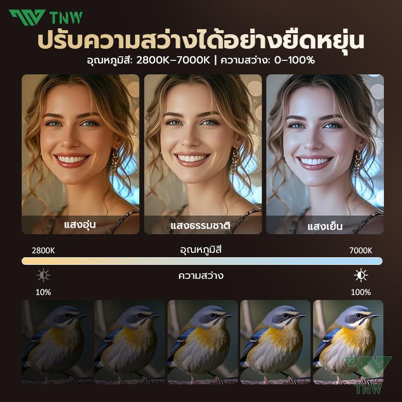 รูปภาพ 4