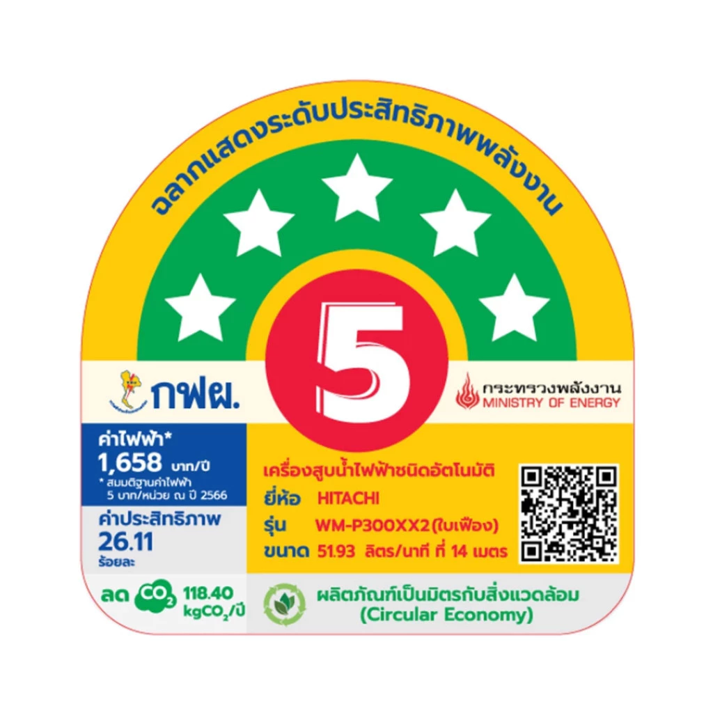 ปั๊มน้ำอัตโนมัติ HITACHI WM-P300XX2 300 วัตต์ thumbnail 7