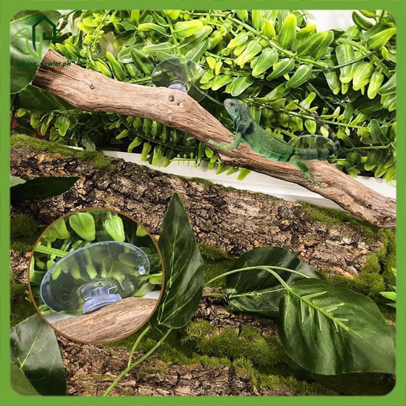 [edison_fowler.ph] สาขาสัตว์เลื้อยคลานสําหรับปีนเขาเครามังกรสาขาธรรมชาติลื่นที่อยู่อาศัยตกแต่งสัตว์เ