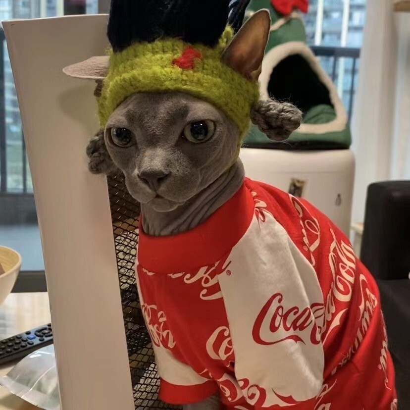 Punk Cat หมวกตลก Furless Cat Sphinx Cat Headgear สุนัขตลก Rock เครื่องประดับเปลี่ยนหมวกพร้อมสต็อก