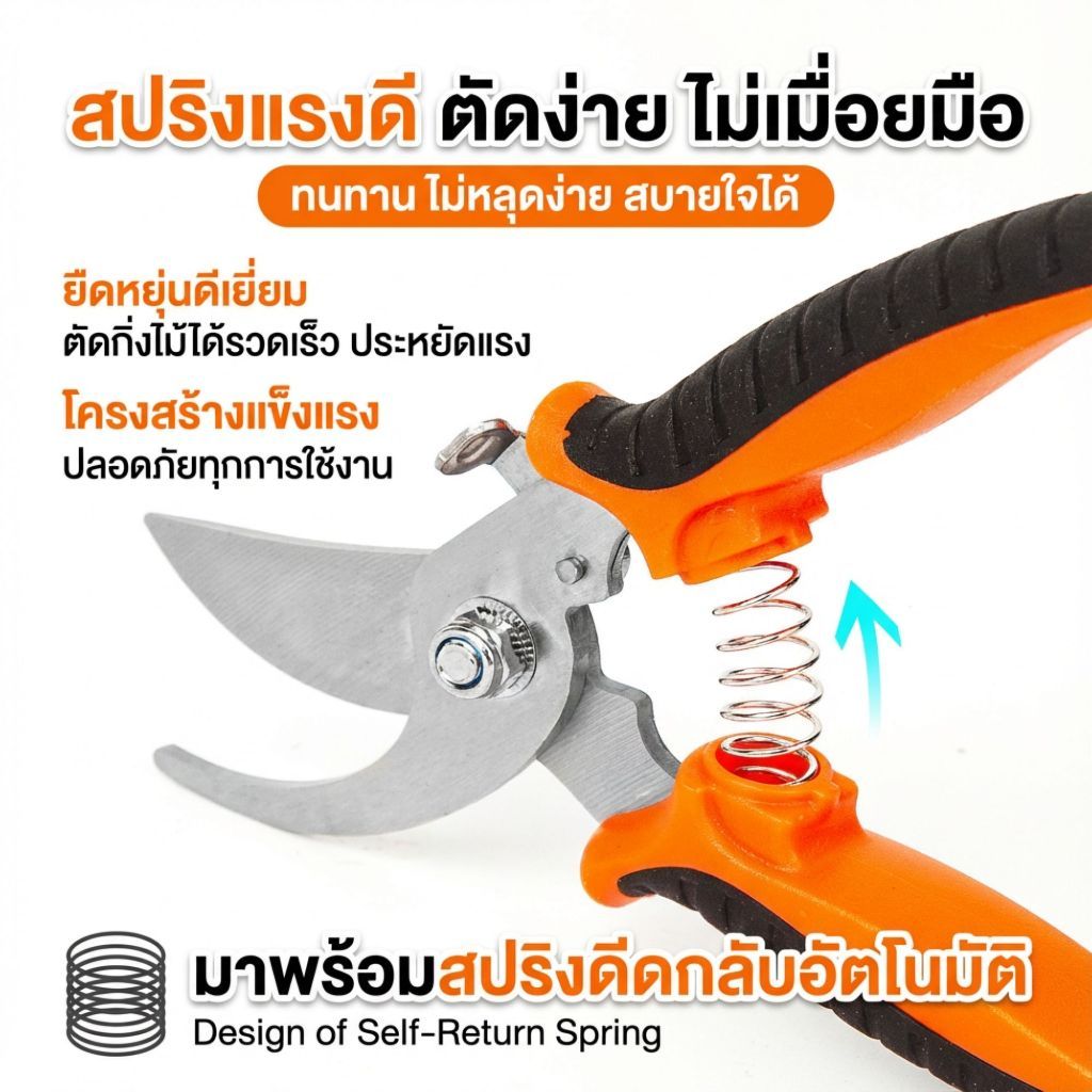 กรรไกรตัดแต่งกิ่ง4สี คมกริบ ด้ามกันลื่น มีล็อคเซฟตี้ ปลอดภัยสุด - รูปที่ 3