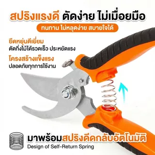 กรรไกรตัดแต่งกิ่ง4สี คมกริบ ด้ามกันลื่น มีล็อคเซฟตี้ ปลอดภัยสุด