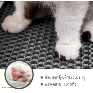 แผ่นดักทรายแมว พรมดักทรายแมว พรม 2 ชั้น EVA ช่วยดัก ทรายแมว ที่ติดตามเท้าน้องแมว แผ่นรองทรายแมว P