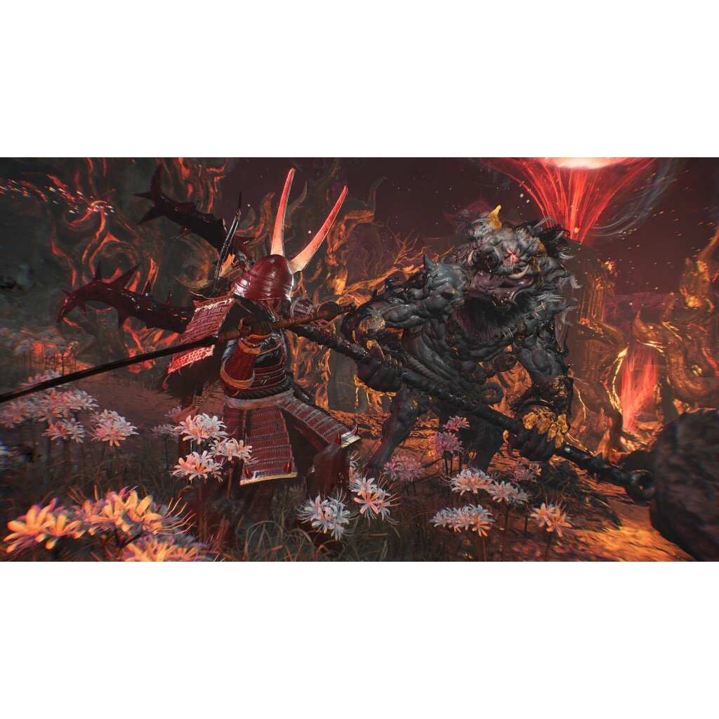 รูปภาพ 5