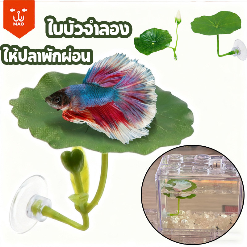 พืชน้ํา แต่งตู้ปลา ใบบัวจำลอง ปล่อยให้ปลาได้พัก การวางไข่ หญ้าจำลอง ทำให้ตู้ปลาสวยขึ้น ต้นไม้น้ํา