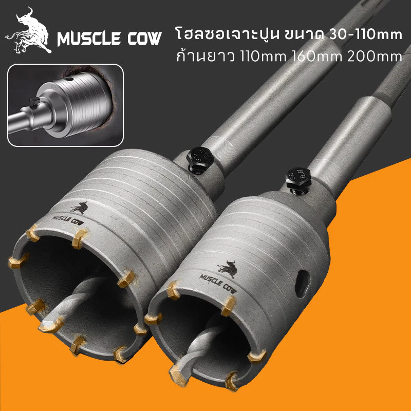MUSCLE COW ชุดดอกสว่าน โฮลซอเจาะปูน คอนกรีต อิฐบล็อก หินอ่อน กระเบื้อง 3 ขนาด 30 40 50 mm ใช้สำหรับเจาะกระแทก