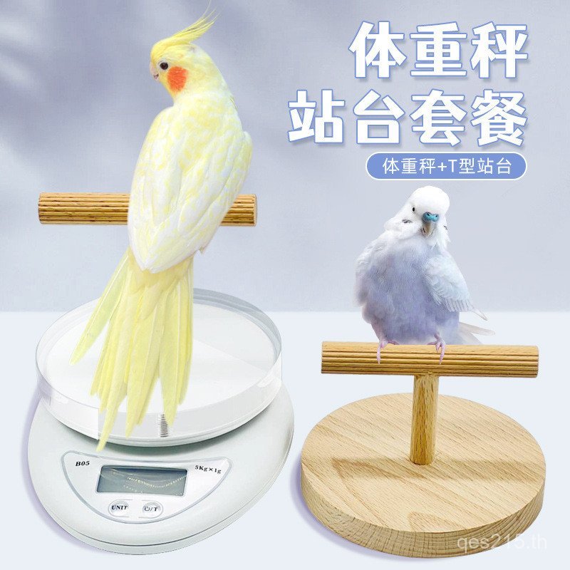 Bird Pet Station Pole Platform Desktop Platform Interactive T-Shaped Parrot Stand Weight Scale MS6M