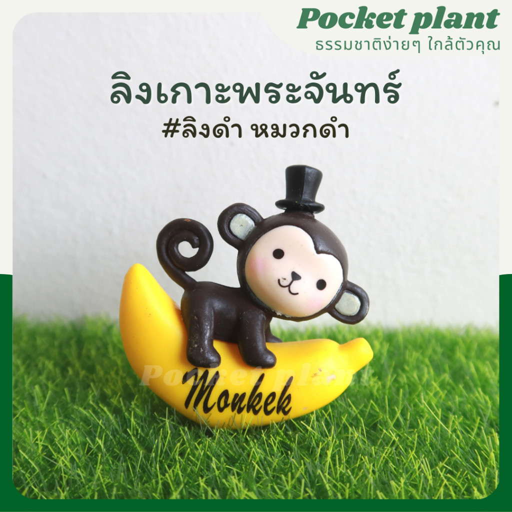 มุมมอง 4