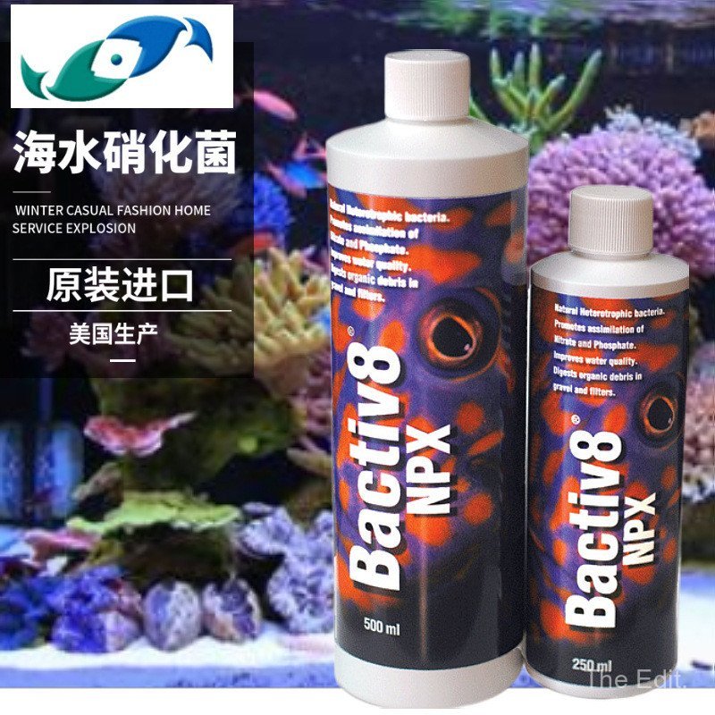 สายถังน้ําทะเล Bactiv8 NPX 250ml สองปลาขนาดเล็ก Nitrifying แบคทีเรียทางเดินอาหาร