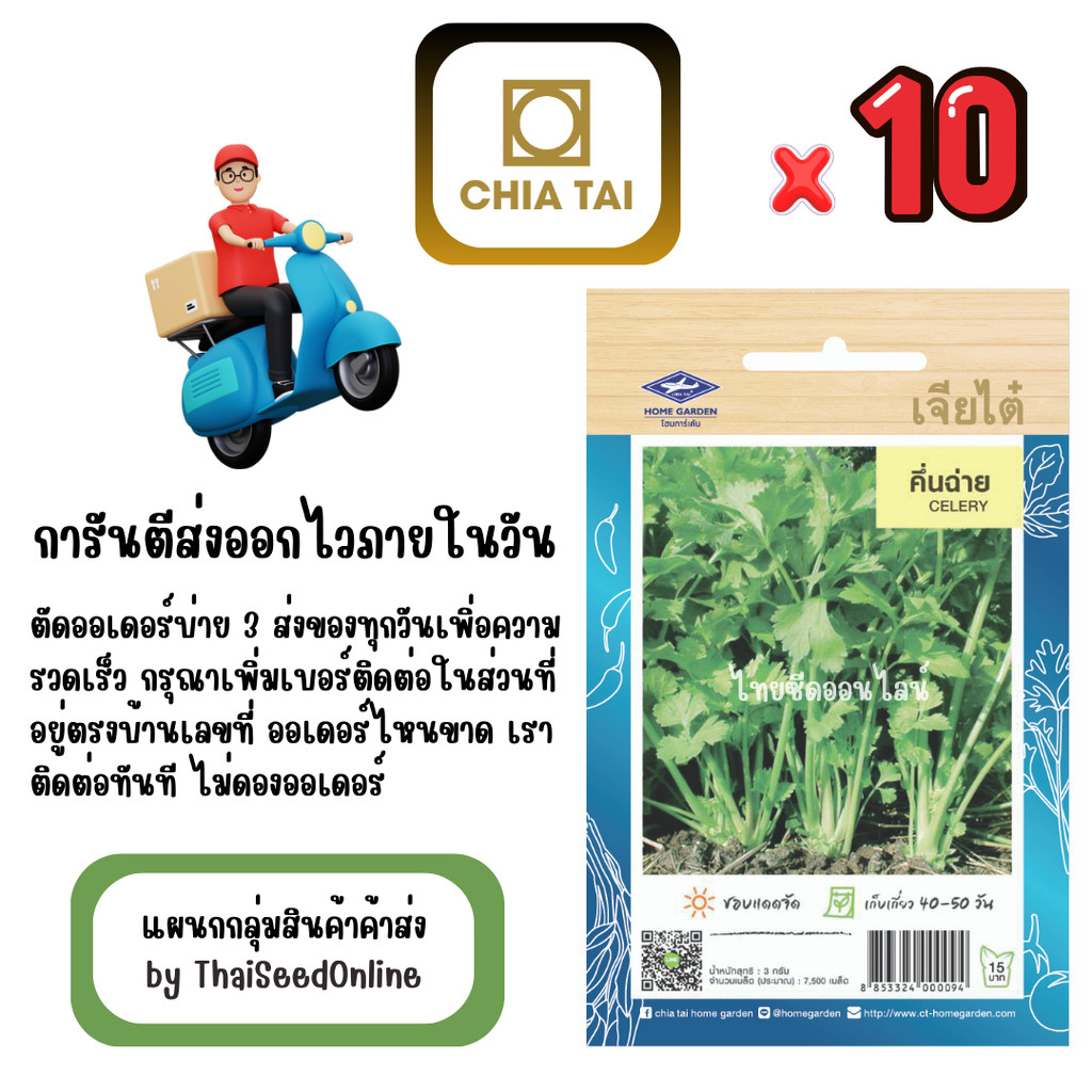 CTOP x 10 เมล็ดผักซองเจียไต๋ คื่นช่าย คึ่นฉ่าย คื่นฉ่าย สินค้ายกแพ็ค