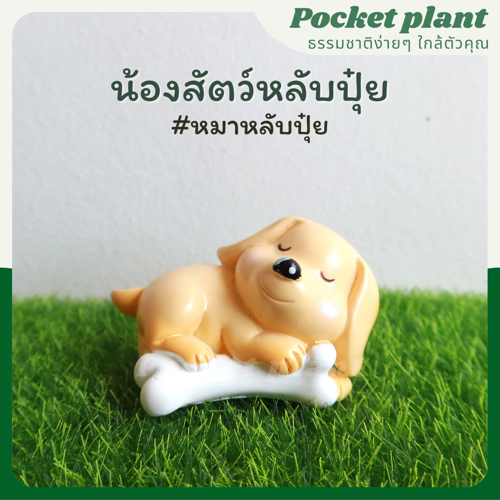 มุมมอง 5