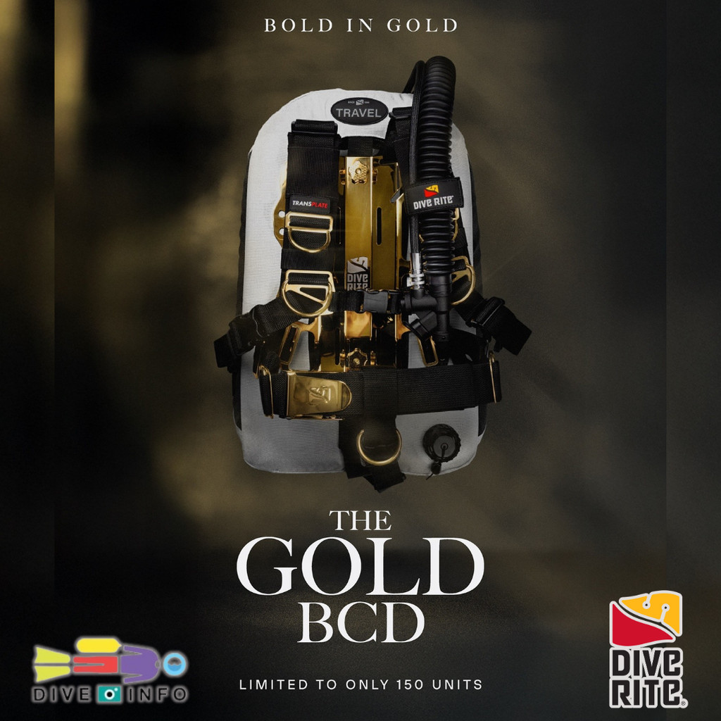 DIVE RITE - BOLD in GOLD FXT - Gold x White Limited Edition BCD (Limited Edition)