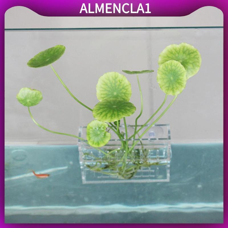 [Almencla1] Aquatic Water Grass Plants Cup Aquarium Plant Holder Decorarion Foreground