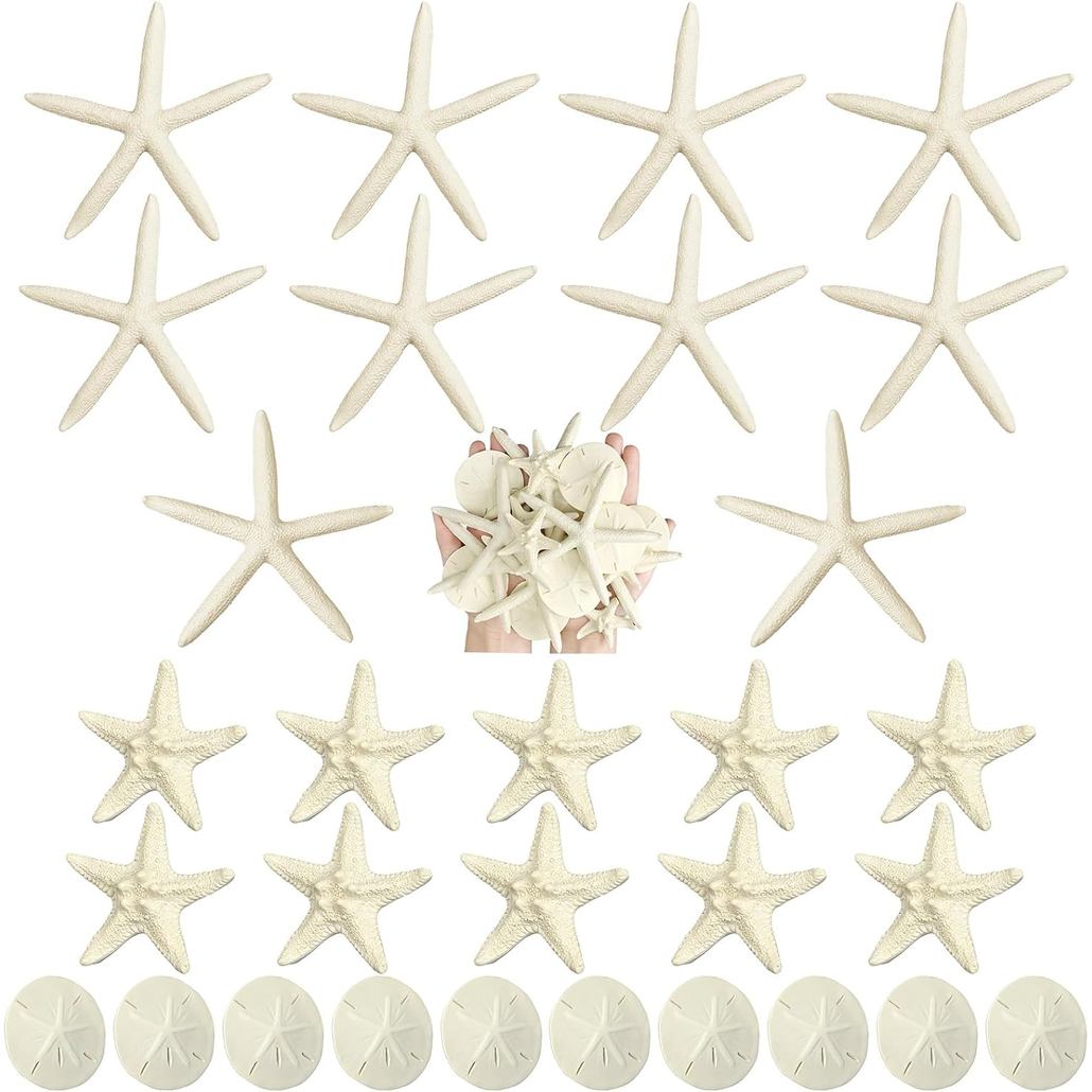 Queekay 15 Pieces Resin Starfish Sand Dollars 2.0 Inch 4.7 Inch Starfish 2.3 Inch Sand Dollars Craft