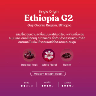 (New) เมล็ดกาแฟ Ethiopia Guji G2 Natural Process เมล็ดกาแฟคั่วอาราบิก้า Cherdchai Coffee Roasters