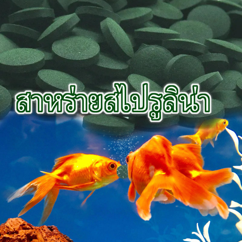 สาหร่ายสไปรูลิน่าแบบผง 100% โปรตีนสูง ช่วยเร่งสี เร่งโต บำรุงสุขภาพปลา