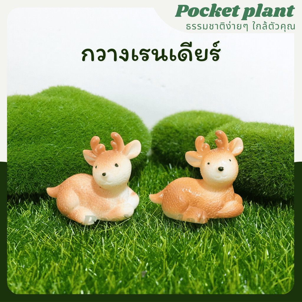 มุมมอง 2