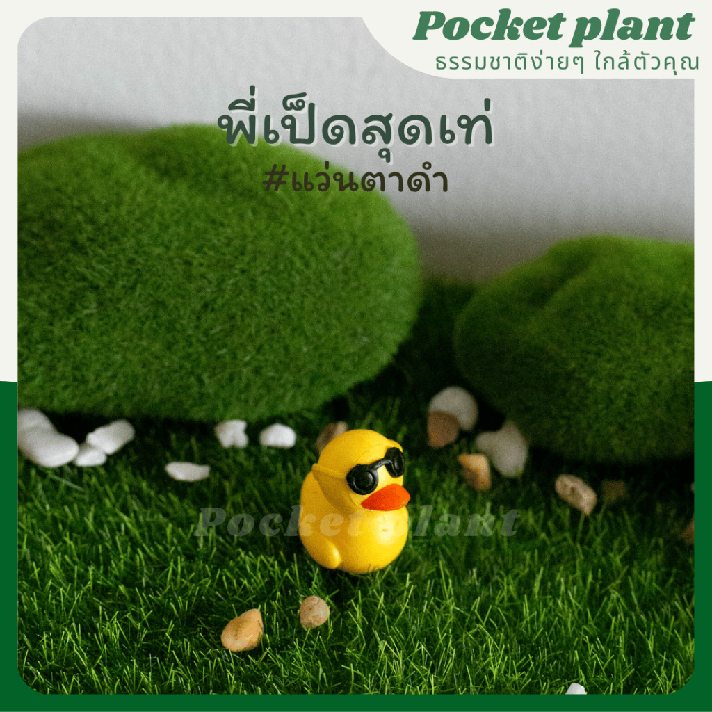 มุมมอง 5