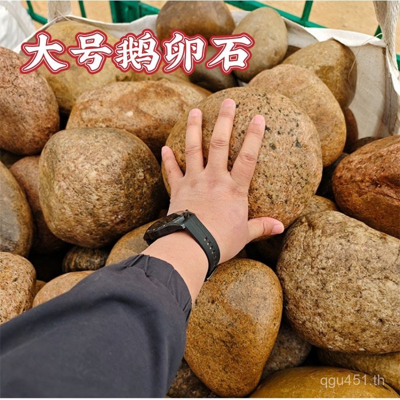 Pebble Engineering ภูมิทัศน์ภูมิทัศน์ Transformer Dedicated Paving ขนาดใหญ่ Garden Pebble Stone W9BM