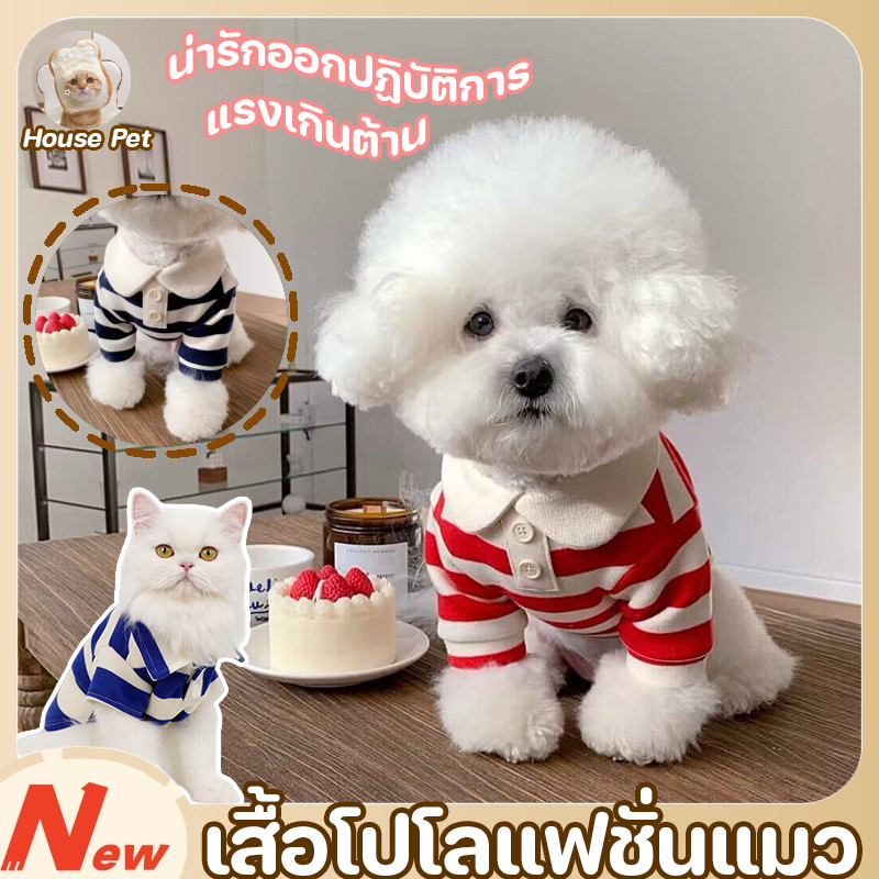 New เสื้อโปโลแฟชั่นแมว เสื้อผ้าสัตว์เลี้ยงลาย เสื้อสัตว์เลี้ยง เสื้อสัตว์เลี้ยง ลายขวาง น่ารัก ดูดี