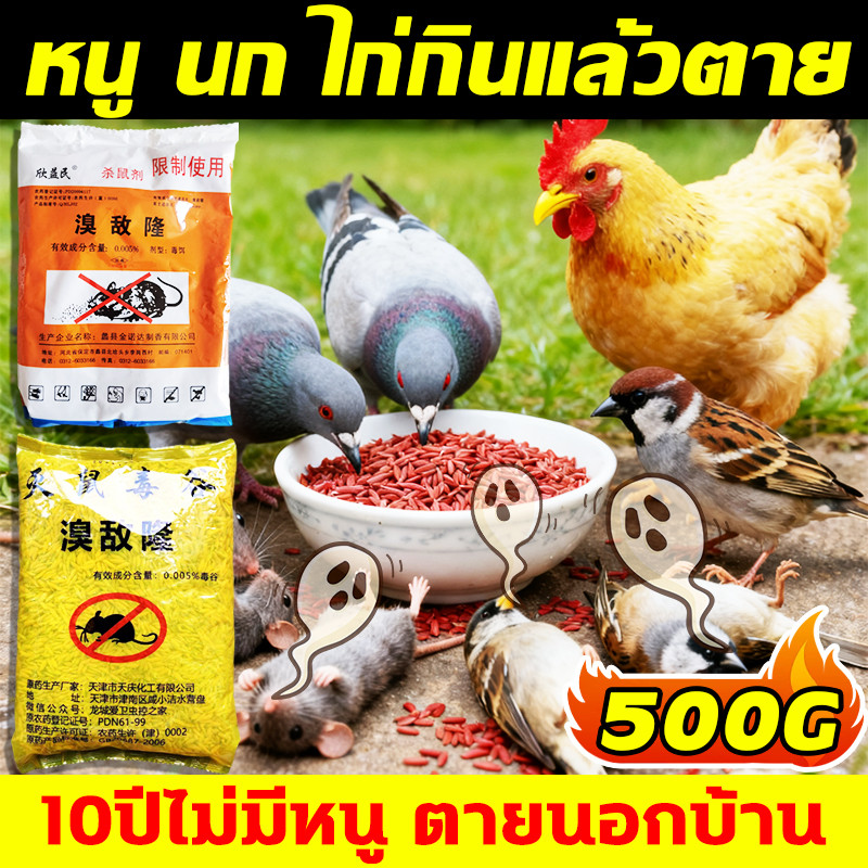 หนู นก ไก่กินแล้วตาย 500g ยาฆ่าหนู กําจัดหนู ยาเบื่อ หนู เหยื่อกำจัดนก ยาเบือหนู เหยื่อ ยากําจัดหนู ยาเบื่อนก ยาฆ่านก