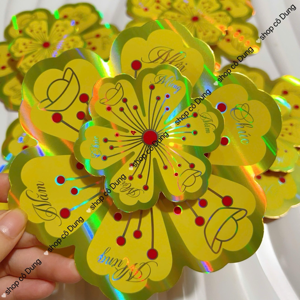 [ เจ้านายขายส่งใน HCMC ] ชุดแอปริคอทกระดาษเรืองแสงที่สวยงาม ตกแต่งเทท. สติ๊กเกอร์ติดประตู ติดผนัง (ม