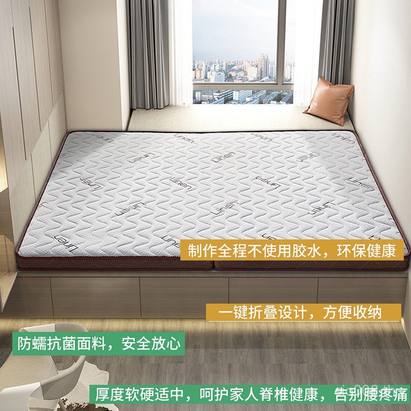 ที่นอนเป็นมิตรกับสิ่งแวดล้อม Tatami Latex Bay Window Mat Anti-Mite Palm Mat ที่นอนพับที่นอนป้องกันสั