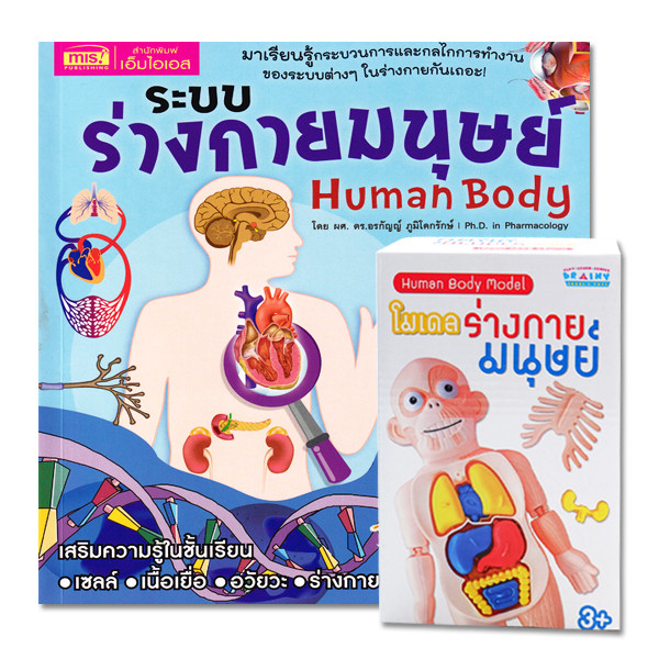 Se-ed (ซีเอ็ด) : หนังสือ ระบบร่างกายมนุษย์ Human Body ระดับประถม +โมเดลร่างกายมน