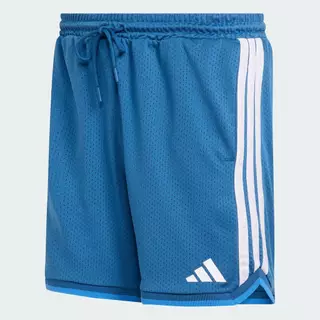adidas ไลฟ์สไตล์ กางเกงขาสั้นผ้าตาข่าย STADIUM ผู้ชาย สีน้ำเงิน JZ6855
